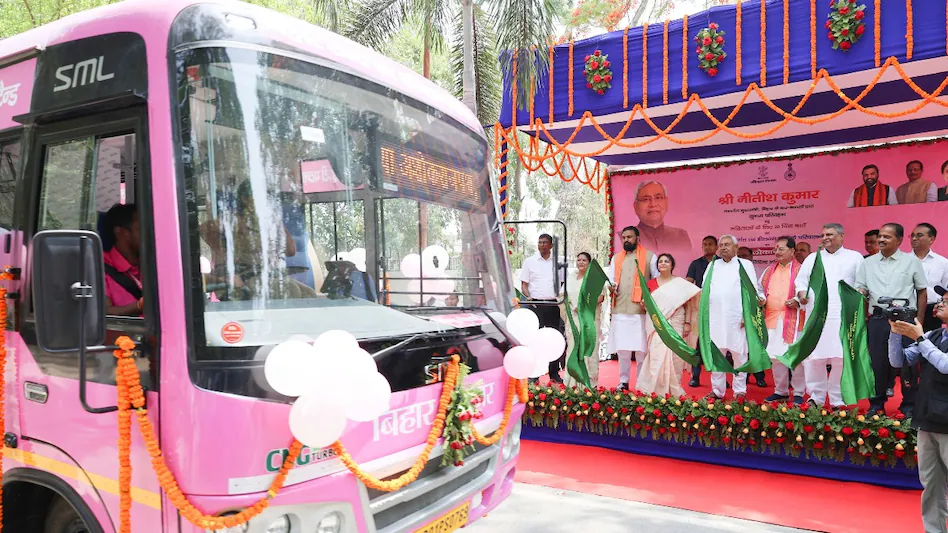 Pink Bus 