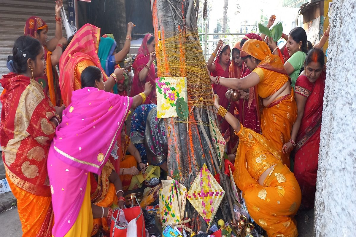  वट सावित्री व्रत ज्येष्ठ अमावस्या को मनाया जाता है