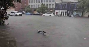 New York में बारिश के कारण अचानक आई बाढ़, शहर में आपातकाल की घोषणा