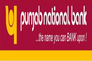 पंजाब नेशनल बैंक को 262 करोड़ का मुनाफा