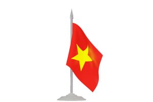 वियतनाम ने लोकतांत्रिक अधिकारों का दुरूपयोग करने वाले कार्यकर्ता को गिरफ्तार किया