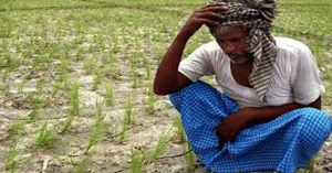 मध्यप्रदेश में 50 लाख किसानों ने किए कर्जमाफी के आवेदन