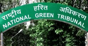NGT ने कुरनूल में रिलायंस जियो के लिए कथित तौर पर पेड़ काटने पर रिपोर्ट मांगी