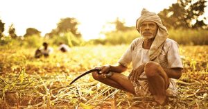 औरंगाबाद के मक्का और कपास किसानों ने नहीं मनाई दिवाली