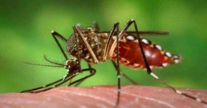 नहीं पहुंची डेंगू जांच किट, मरीजों की बढ़ी मुश्किलें