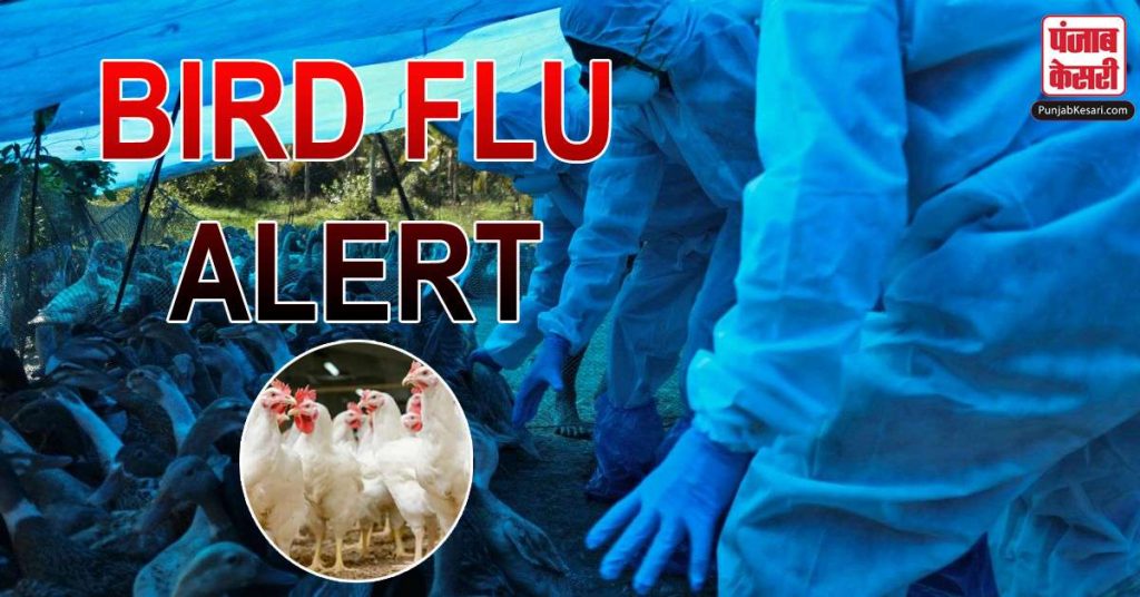 1610043083 brid flu alert