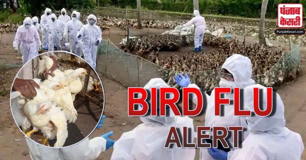 1610303130 bird flu alert1