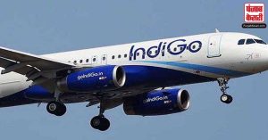 Indigo New CEO: इंडिगो  के नए सीईओ होंगे पीटर एल्बर्स, कोविड के समय दत्ता ने एयरलाइन को बुलंदियों पर पहुंचाया