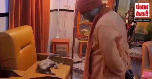 Yogi Adityanath: सीएम योगी का फिर दिखा जानवर प्रेम, बिल्ली से पूछा-क्या कुछ खाएगी, वीडियो वायरल