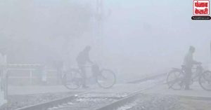 Weather Update: पंजाब और हरियाणा में कड़ाके की ठंड जारी, जानें अपने शहर का हाल