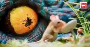Nature viral चूहा खा रहा था खाना, पीछे से दिखा एक जानवर, प्रकृति के नजारे ने लुटा सबका दिल