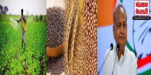 Rajasthan: 20 लाख किसानों को सब्जियों के बीज मुफ्त देगी गहलोत सरकार