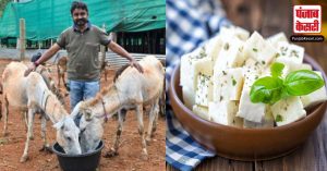 5 हजार रुपए लीटर बिकता है इस जानवर का दूध, जितने में लेंगे पूरे परिवार के लिए दूध उतने में तो आ जायेगा सोना भी! .