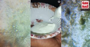 दूध से दही बनने पर होता हैं कुछ ऐसा, वायरल वीडियो में दही का सच आया सामने!