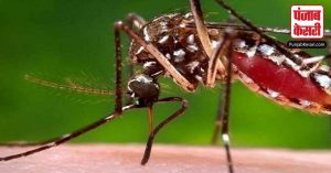 Delhi:  भारी बारिश और बाढ़ के बाद से राजधानी में बढ़े डेंगू-मलेरिया-टाइफाइड के मरीज
