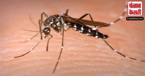 Delhi: बढ़ते डेंगू, मलेरिया के मामले पर नगर निगम ने लिया फैसला, ड्रोन से एंटी लार्वा का होगा छिड़काव