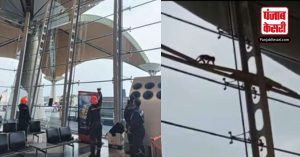 Kuala Lumpur एयरपोर्ट में बंदर ने की जमकर उछल कूद…Video हुआ वायरल