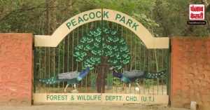 भारत के इस पीकॉक पार्क में मौजूद हैं 30 से भी ज्यादा किस्म के मोर, दूर-दूर से देखने आते हैं लोग