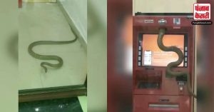 Viral Video: ATM मशीन में घुस गया सांप फिर जो हुआ, वीडियो देखने के बाद कांप जाएगी आपकी रूह
