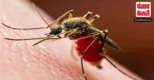 उत्तराखंड में लगातार बढ़ रहे है डेंगू के मामले, 600 के पार पहुंची मरीजों की संख्या