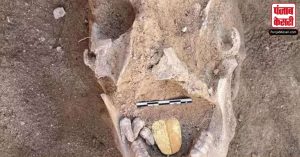 जमीन से निकाली गई 2000 साल पुरानी Mummies, खोपड़ी में मिली सोने की जीभ, कारण जान रह जाएंगे हैरान