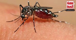 Rajasthan: लगातार कोटा में बढ़ रहे हैं डेंगू के मामले, लोगों के फेल हो रहे लिवर और किडनी
