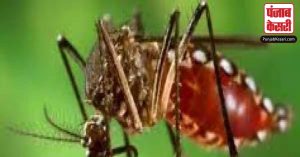 Uttarakhand: देहरादून में लगातार बढ़ रहे डेंगू के मामलों पर प्रशासन हुआ सख्त, जारी किए दिशा निर्देश
