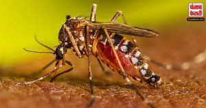 गाजियाबाद और नोएडा में स्वास्थ्य विभाग अलर्ट मोड पर , लगातार बढ़ रहे हैं डेंगू के मामले
