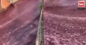 पानी की तरह रास्ते पर बहने लगी Red Wine, वीडियो हुआ वायरल, अब यूजर्स कर रहे वाइन नदी के पास जाने की तैयारी