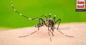 बिहार में अब डेंगू ने डराया, 1100 से ज्यादा मरीज आए सामने