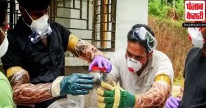 निपाह वायरस के केरल में पांच और नमूनों का टेस्ट आया नेगेटिव, होम आइसोलेशन में 900 से अधिक लोग