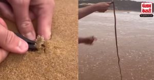 समु्द्र में मौज-मस्ती करना है पसंद तो देख लीजिए ये Video, रेत में छुपे रहते है ये जानलेवा कीड़े