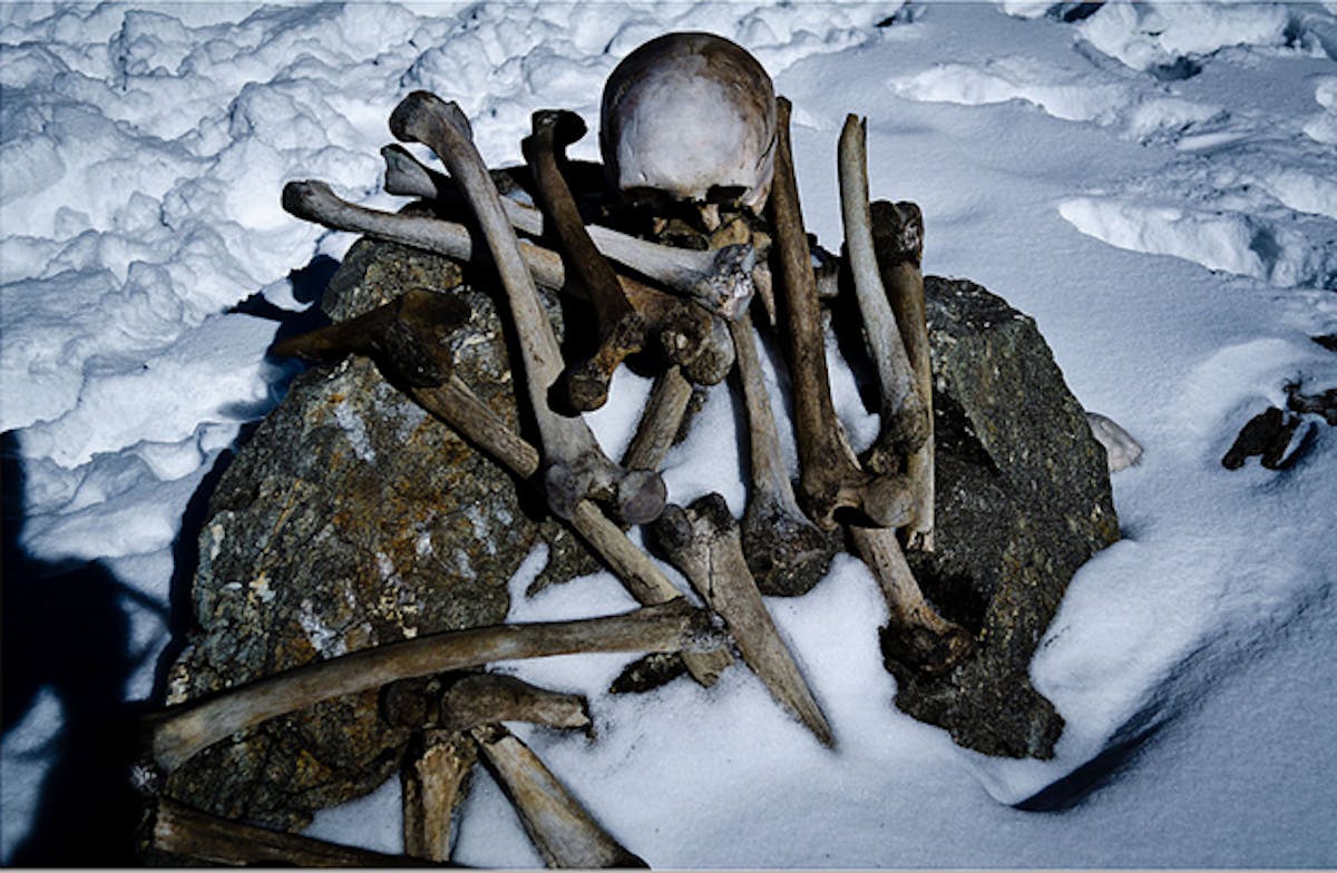 31513 Roopkund skeleton lake