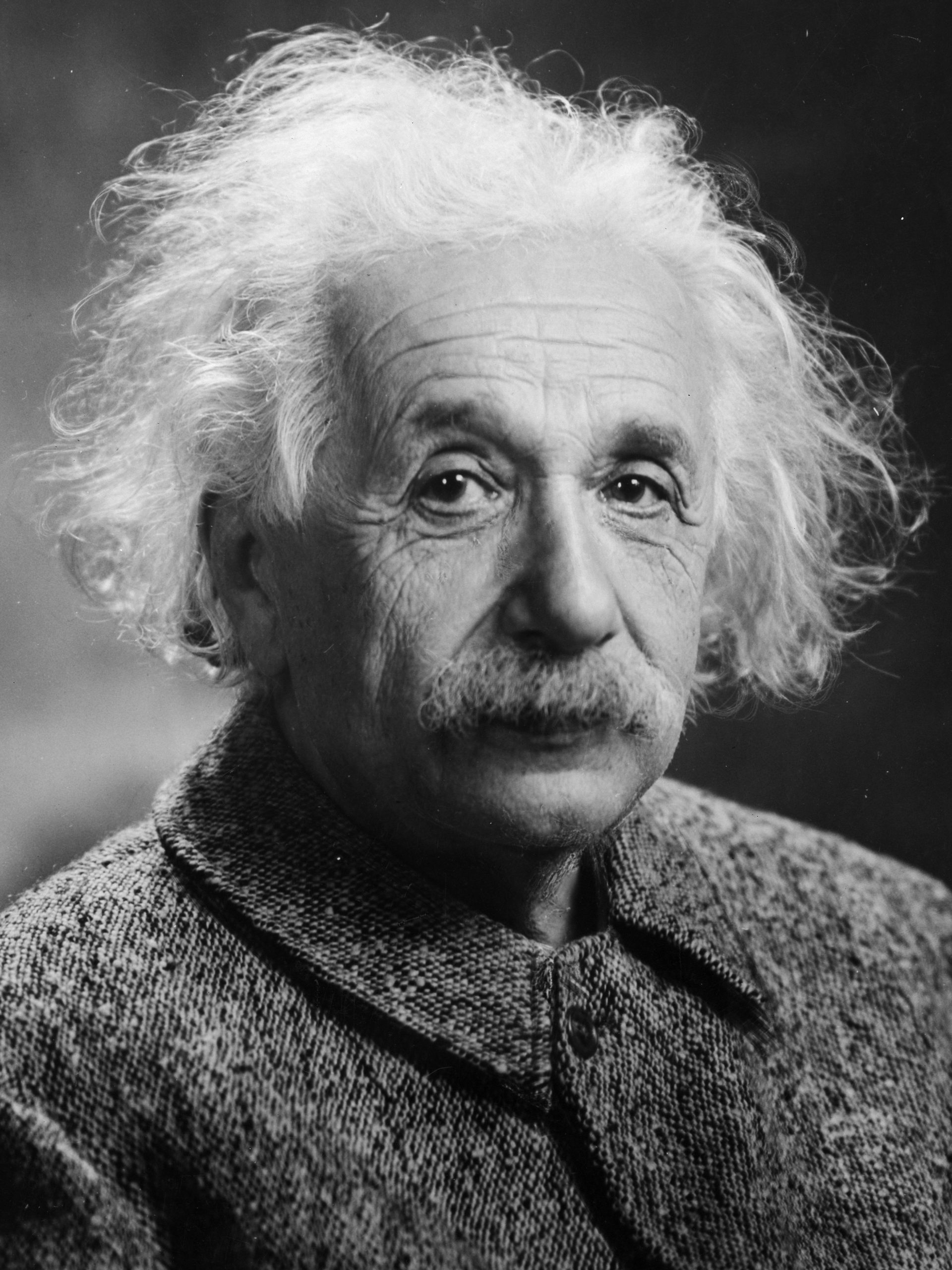 Albert Einstein Head scaled
