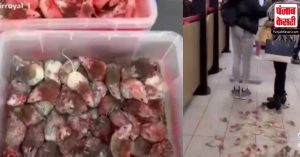 Palestine समर्थक ने McDonald’s में छोड़े ढेरों चूहे, लोगों के बीच मचा हड़कंप