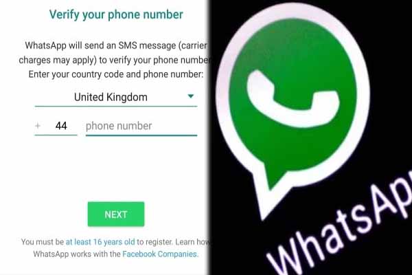 WHATSAAP NUMBER