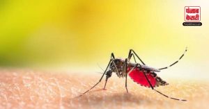 दिल्ली में डेंगू हुआ बेकाबू, फॉगिंग से भी नहीं घट रहे मामले