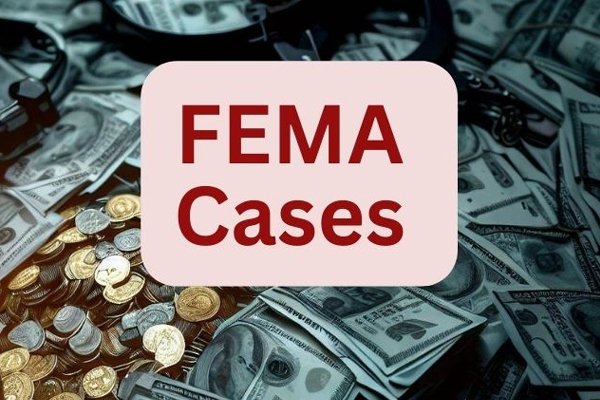 fema case