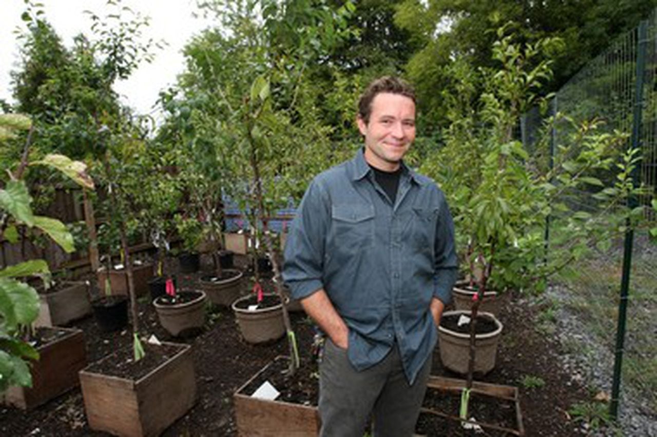 Tree of 40 Fruit