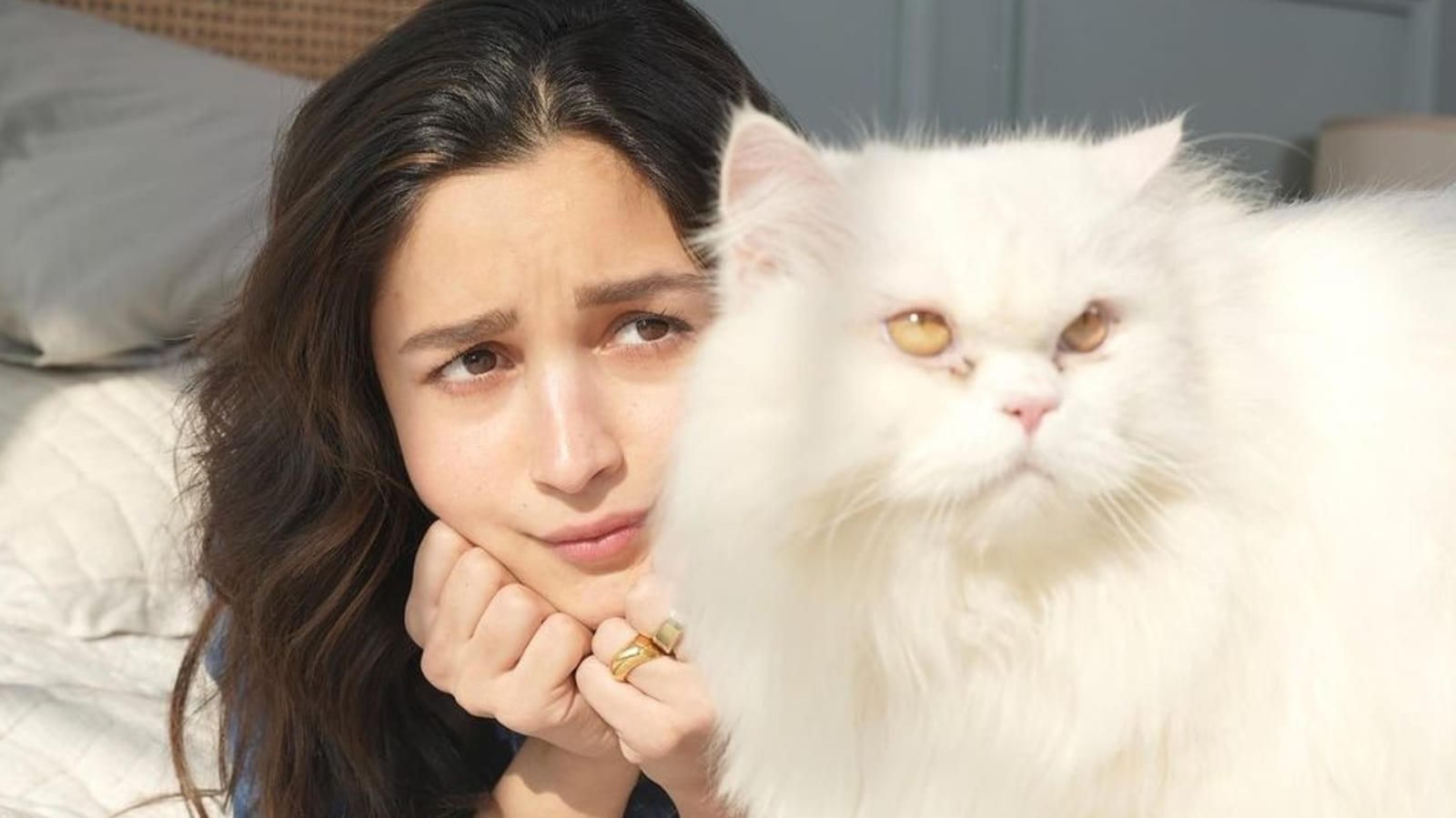 alia bhatt with adward cat