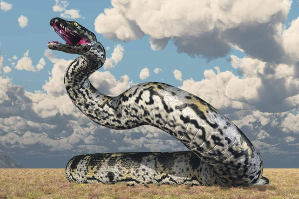 Titanoboa 2