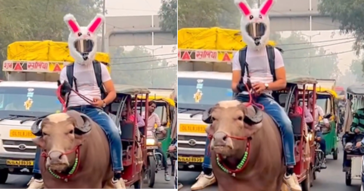 Buffalo After Petrol Become Expensive Video