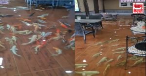 रेस्टोरेंट की फर्श पर तैरती नजर आई मछलियाँ, वीडियो हुआ वायरल