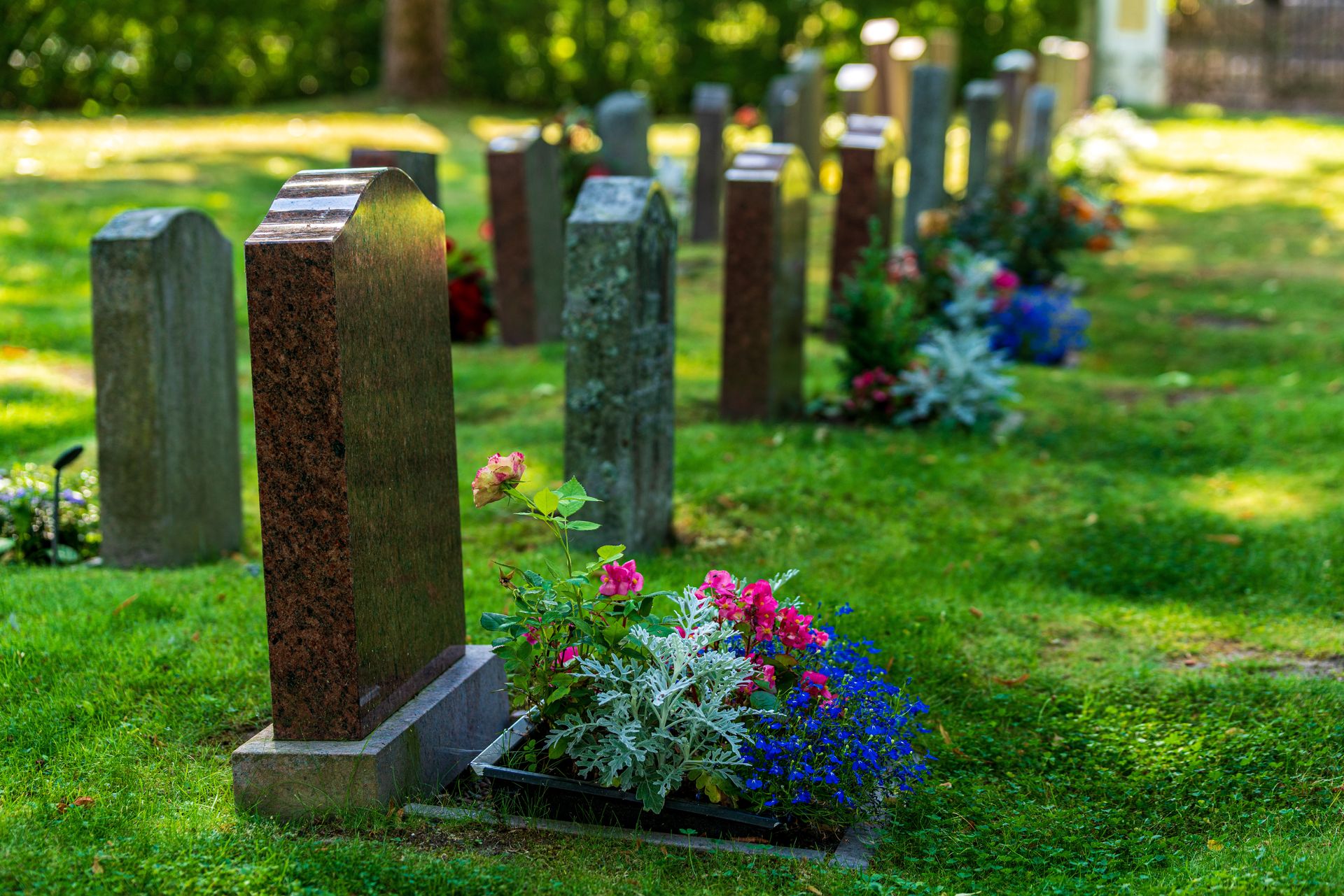 a double row of tombstones decorated with colorful flowers
