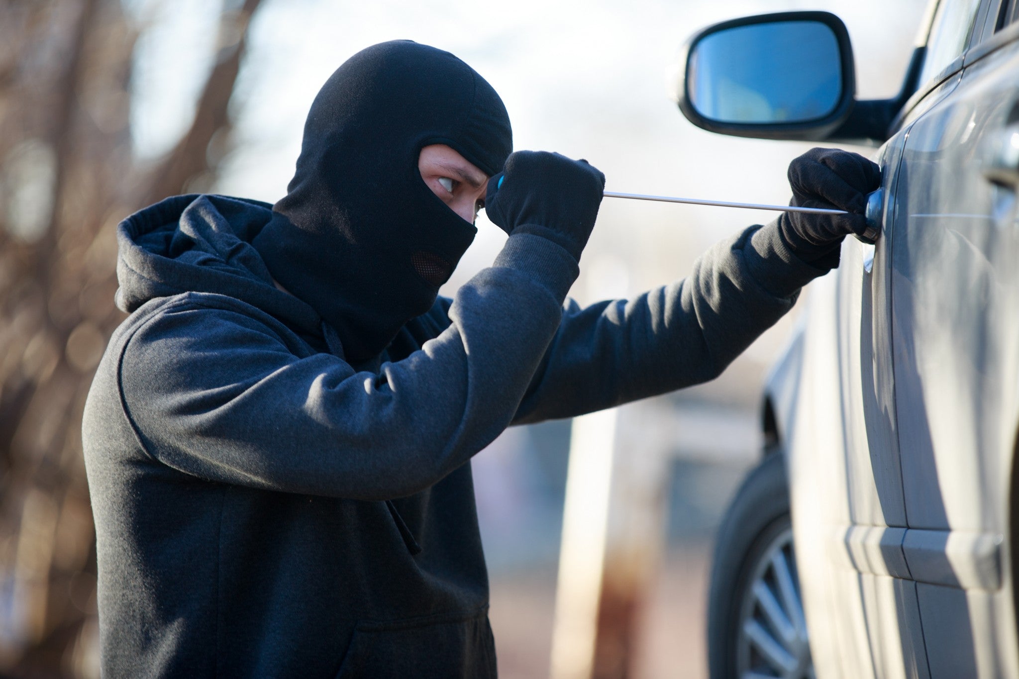 Women stole flowerpot