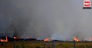 पंजाब : खेतों में आग लगाने की 1,377 घटनाएं सामने आईं
