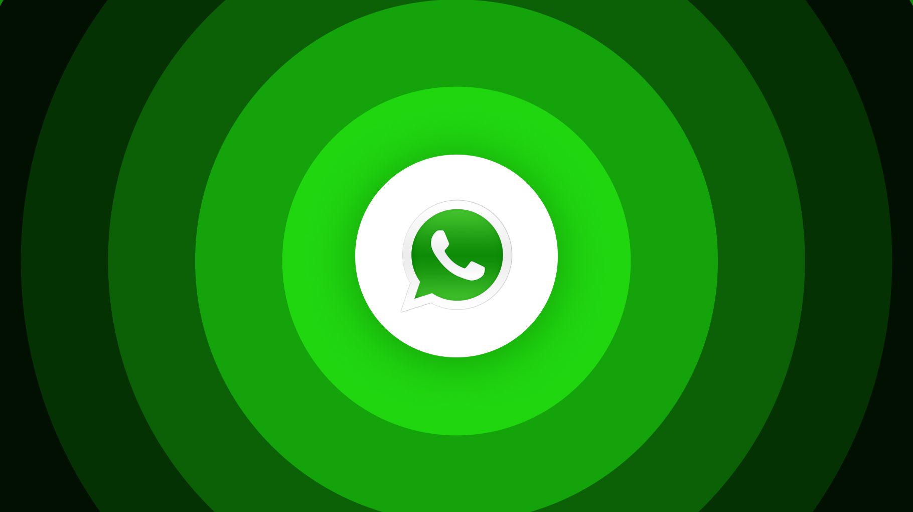 63bee226ba56ff3a7a7e3da7 Whatsapp 1