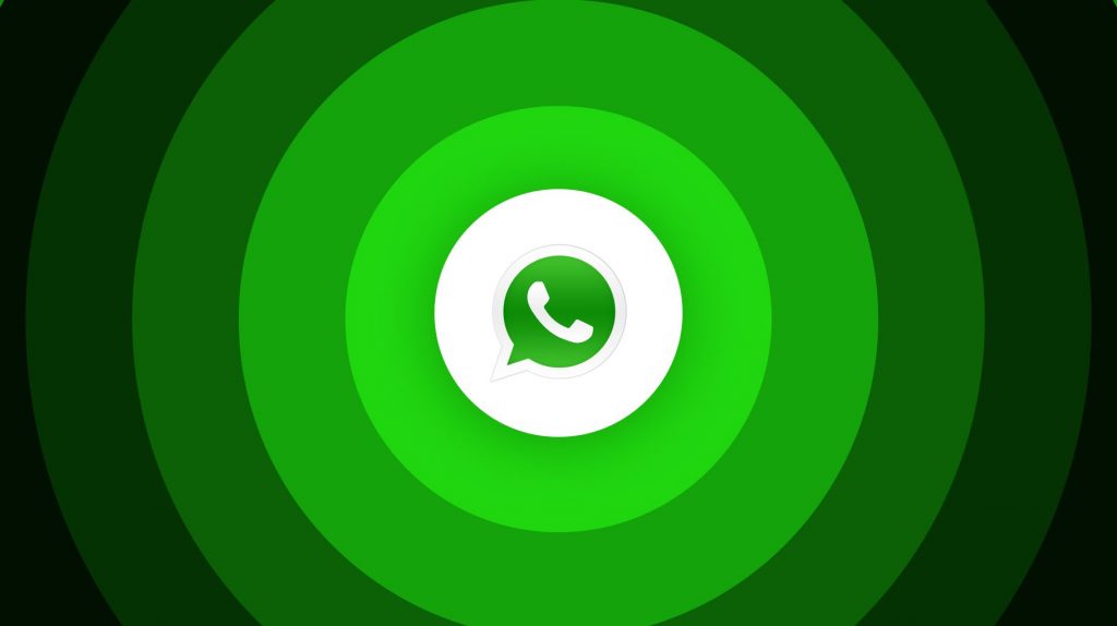 63bee226ba56ff3a7a7e3da7 Whatsapp