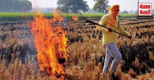 खेतों में पराली जलाने पर Nitish सरकार हुई सख्त