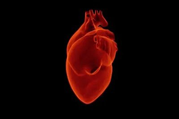 HEART 1